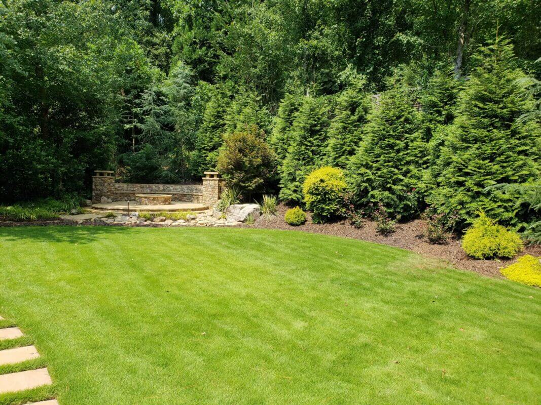 backyard landscaping with evergreen trees