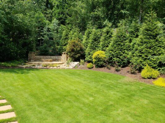 backyard landscaping with evergreen trees