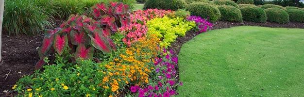 colorful backyard flower garden oasis with shrubberies and green grass