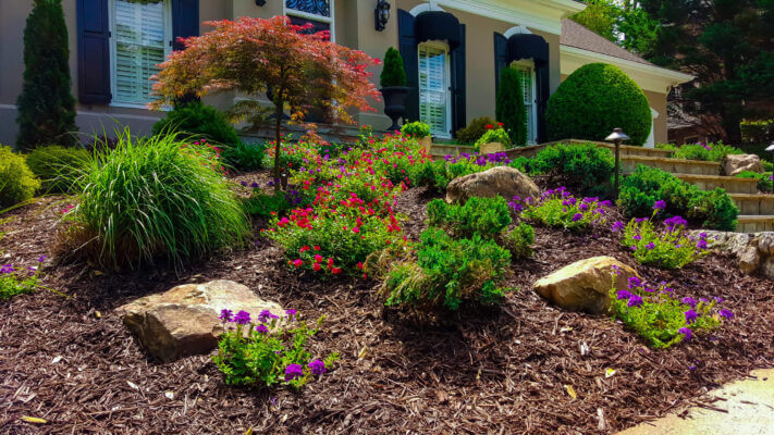 front yard landscape design with purple and red softscape and decorative rocks