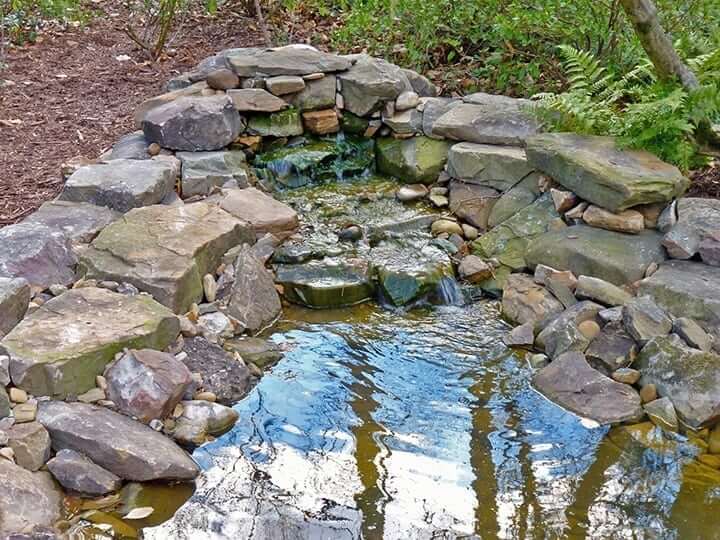 stone water fall feature with landscape pond surrounded by ferns and softscape